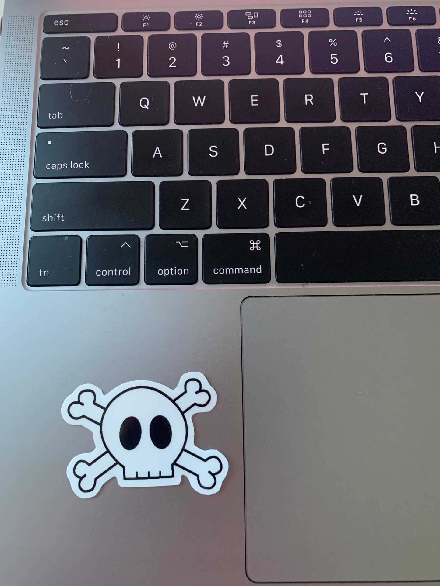 Overlapping Skull and Cross Bones Sticker, Black and White Goth Art, Spooky Season, Dark Horror, Vinyl Waterproof Small Sticker