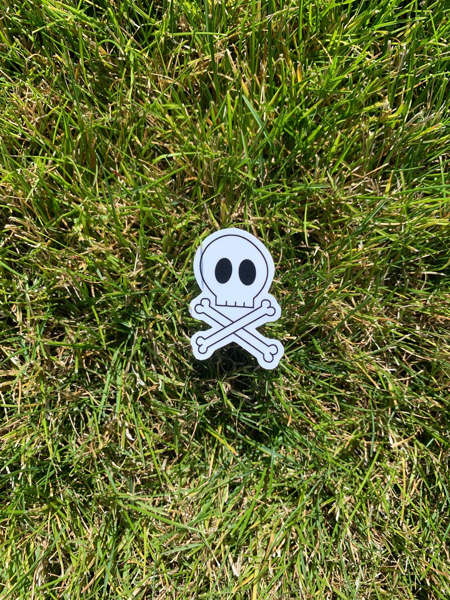 Skull and Cross Bones Sticker