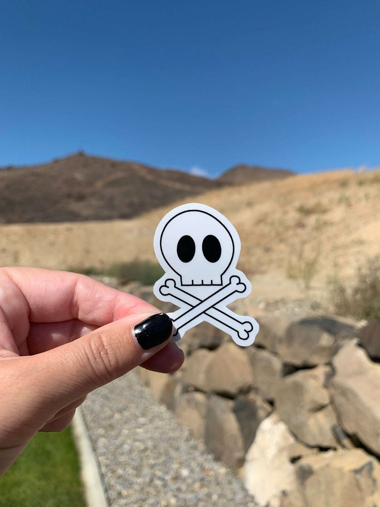 Skull and Cross Bones Sticker