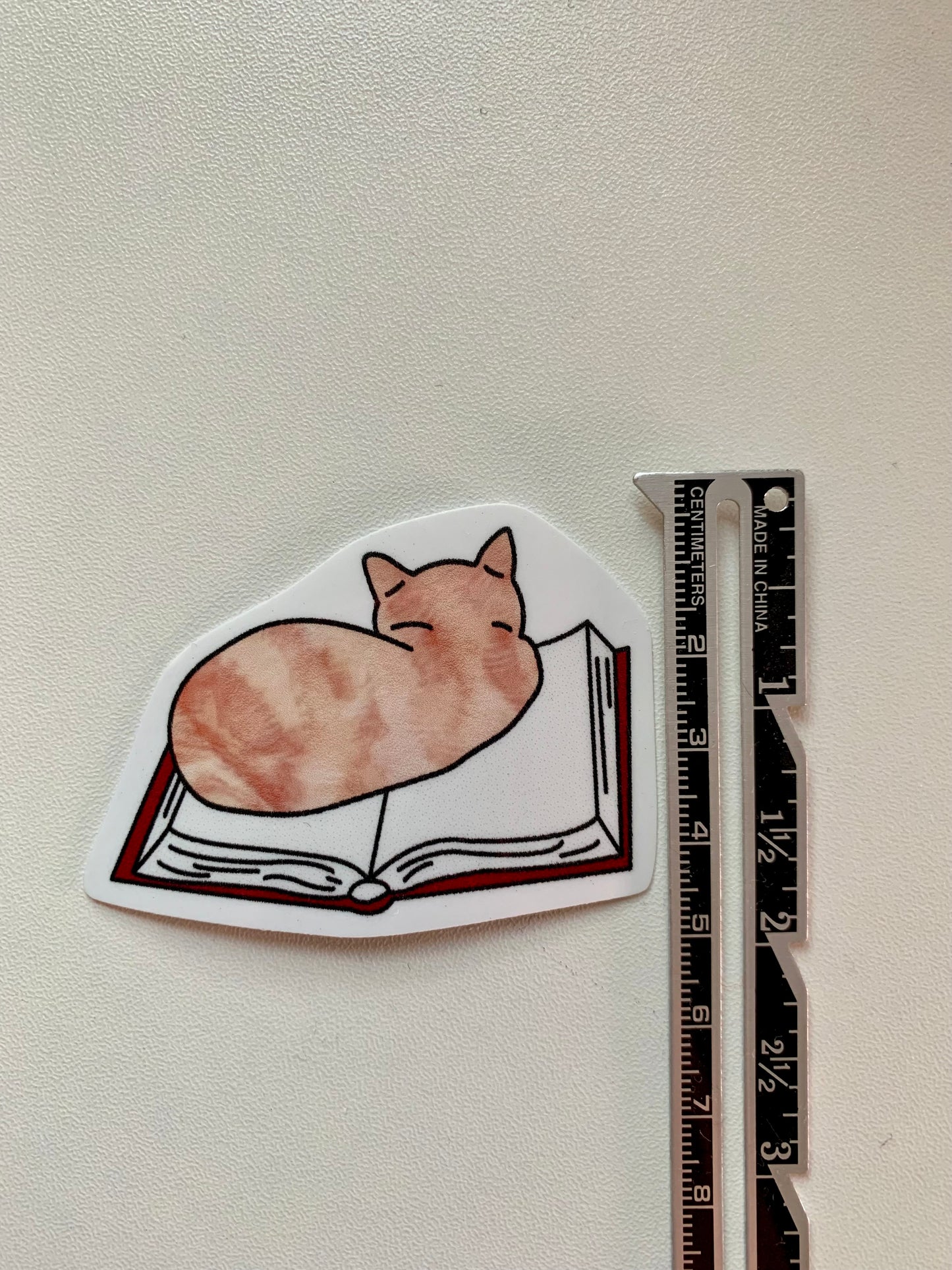 Cat on Book Sticker • Glossy Waterproof Vinyl Decal