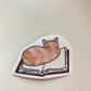 Cat on Book Sticker • Glossy Waterproof Vinyl Decal