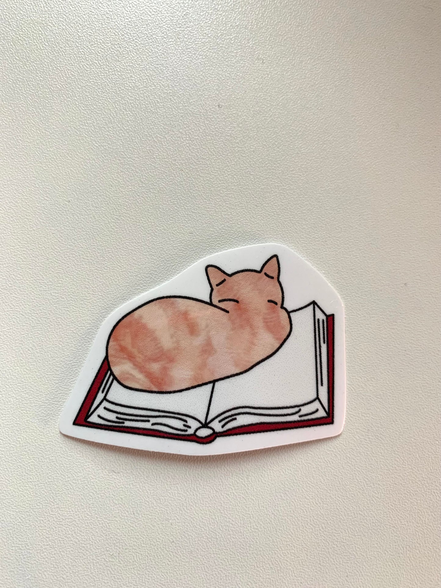 Cat on Book Sticker • Glossy Waterproof Vinyl Decal