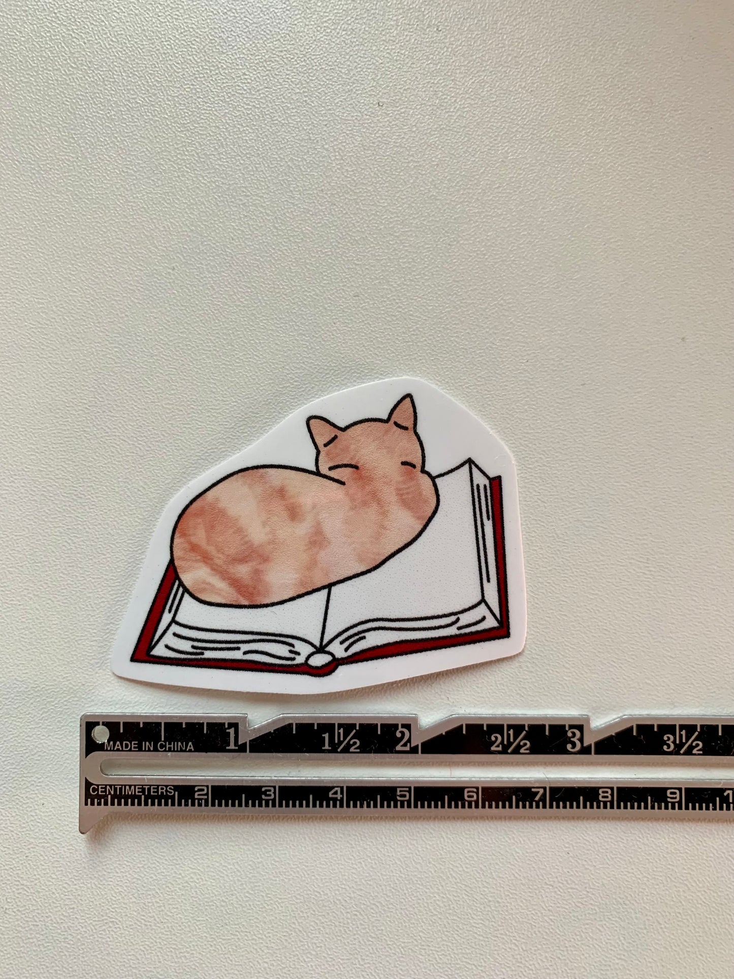 Cat on Book Sticker • Glossy Waterproof Vinyl Decal