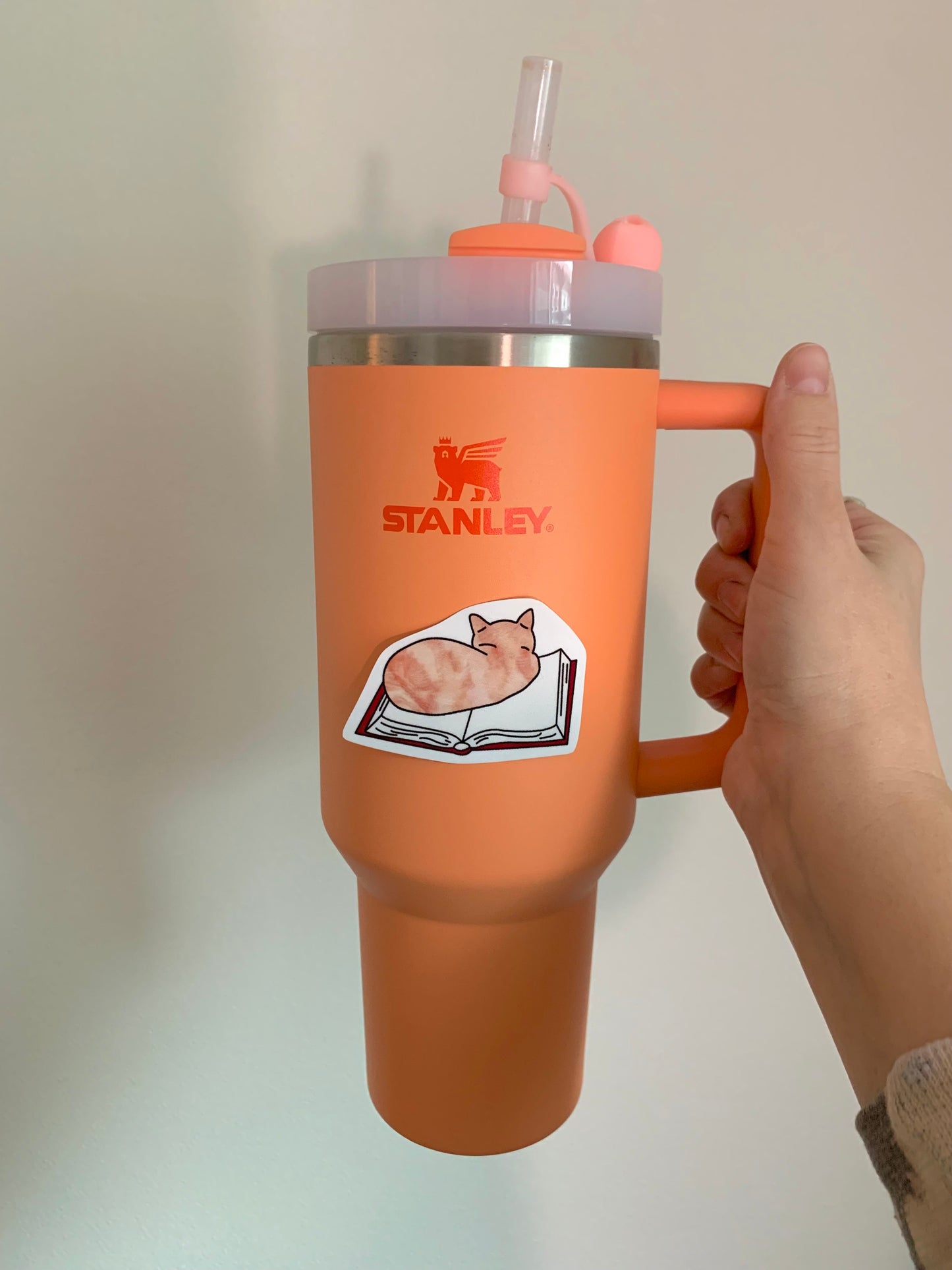 Cat on Book Sticker • Glossy Waterproof Vinyl Decal