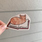 Cat on Book Sticker • Glossy Waterproof Vinyl Decal