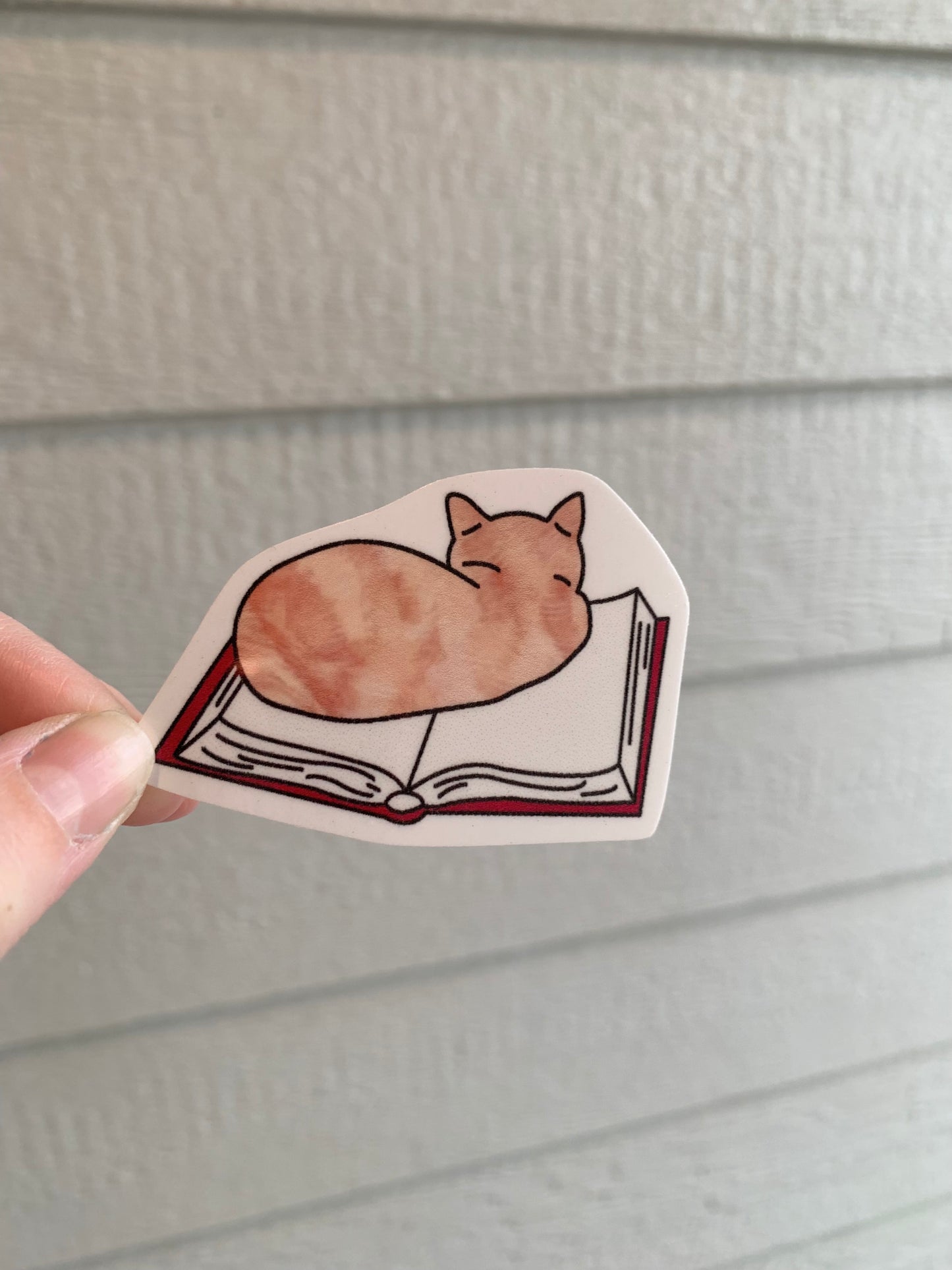 Cat on Book Sticker • Glossy Waterproof Vinyl Decal