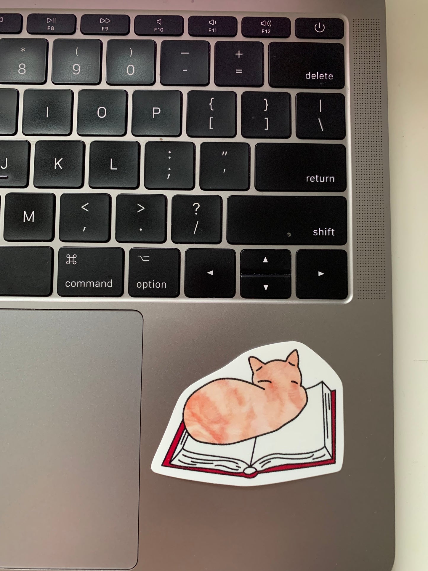 Cat on Book Sticker • Glossy Waterproof Vinyl Decal