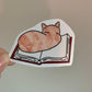 Cat on Book Sticker • Glossy Waterproof Vinyl Decal