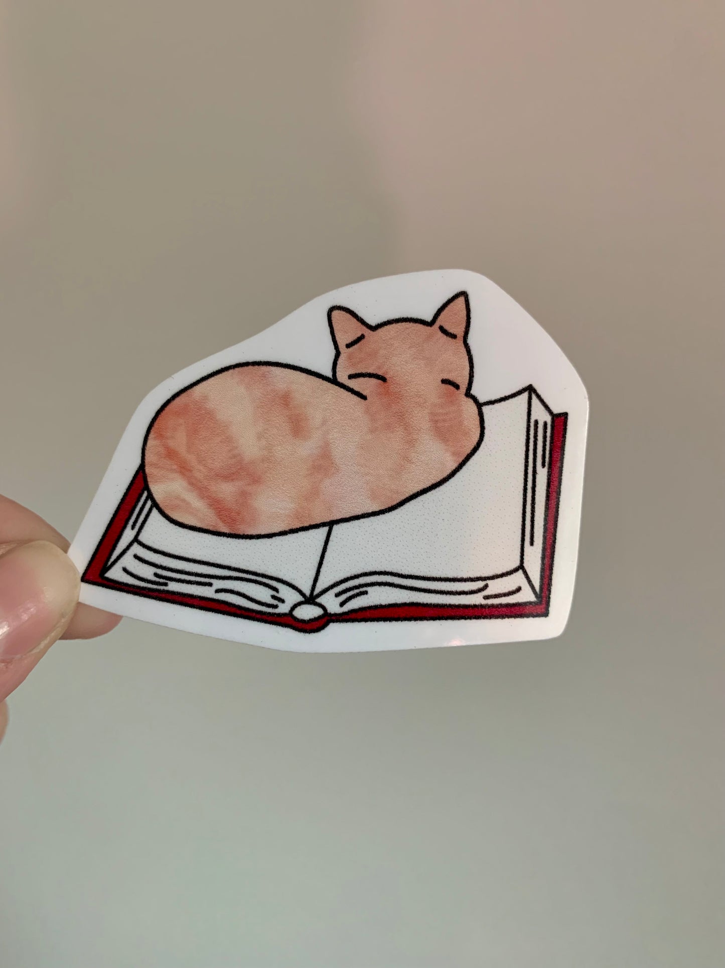 Cat on Book Sticker • Glossy Waterproof Vinyl Decal