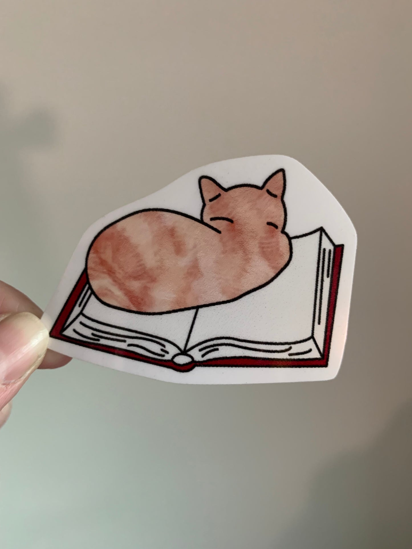 Cat on Book Sticker • Glossy Waterproof Vinyl Decal