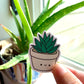 Kawaii Happy Smiling Aloe Potted Plant Sticker